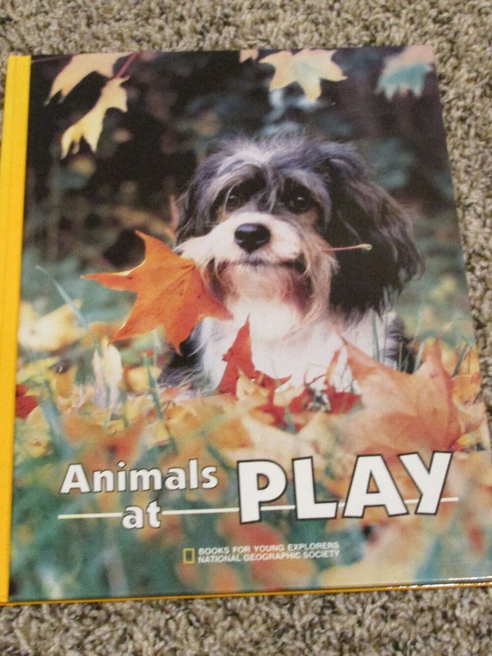 Animals‎ At Play By National Geographic 1988 Hardcover Kids Book Educational